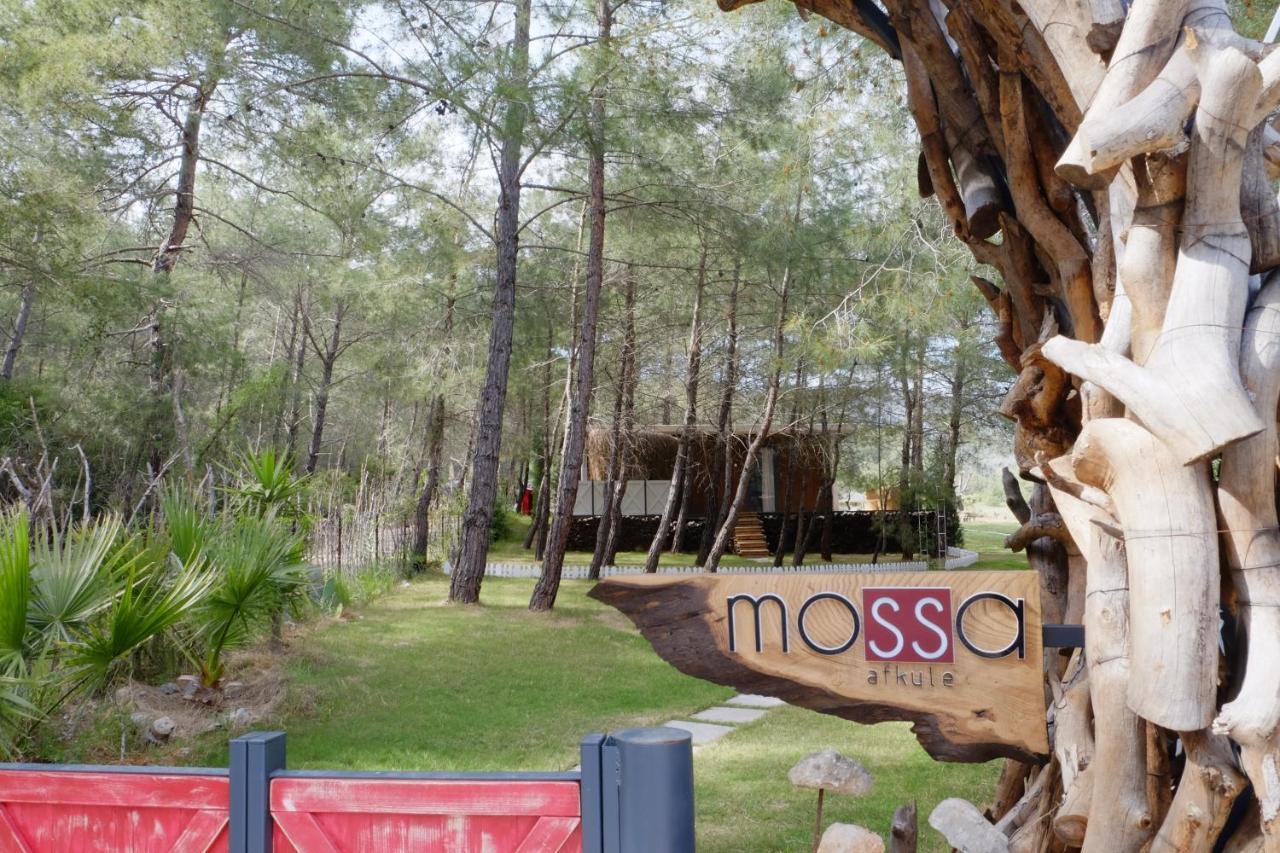 Hotel Mossa Afkule Kayakoey Fethiye Exterior foto