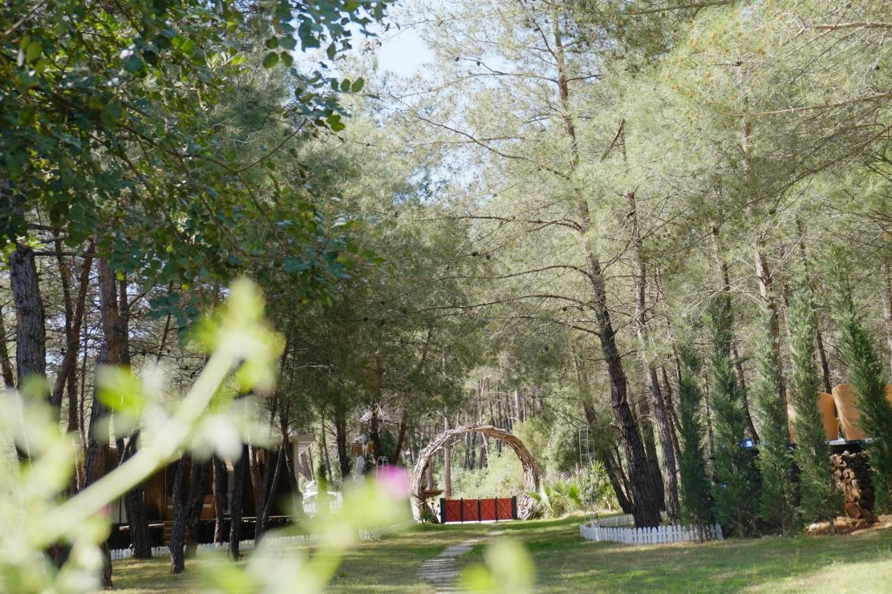Hotel Mossa Afkule Kayakoey Fethiye Exterior foto