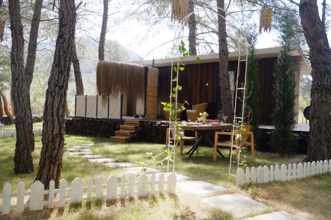 Hotel Mossa Afkule Kayakoey Fethiye Exterior foto